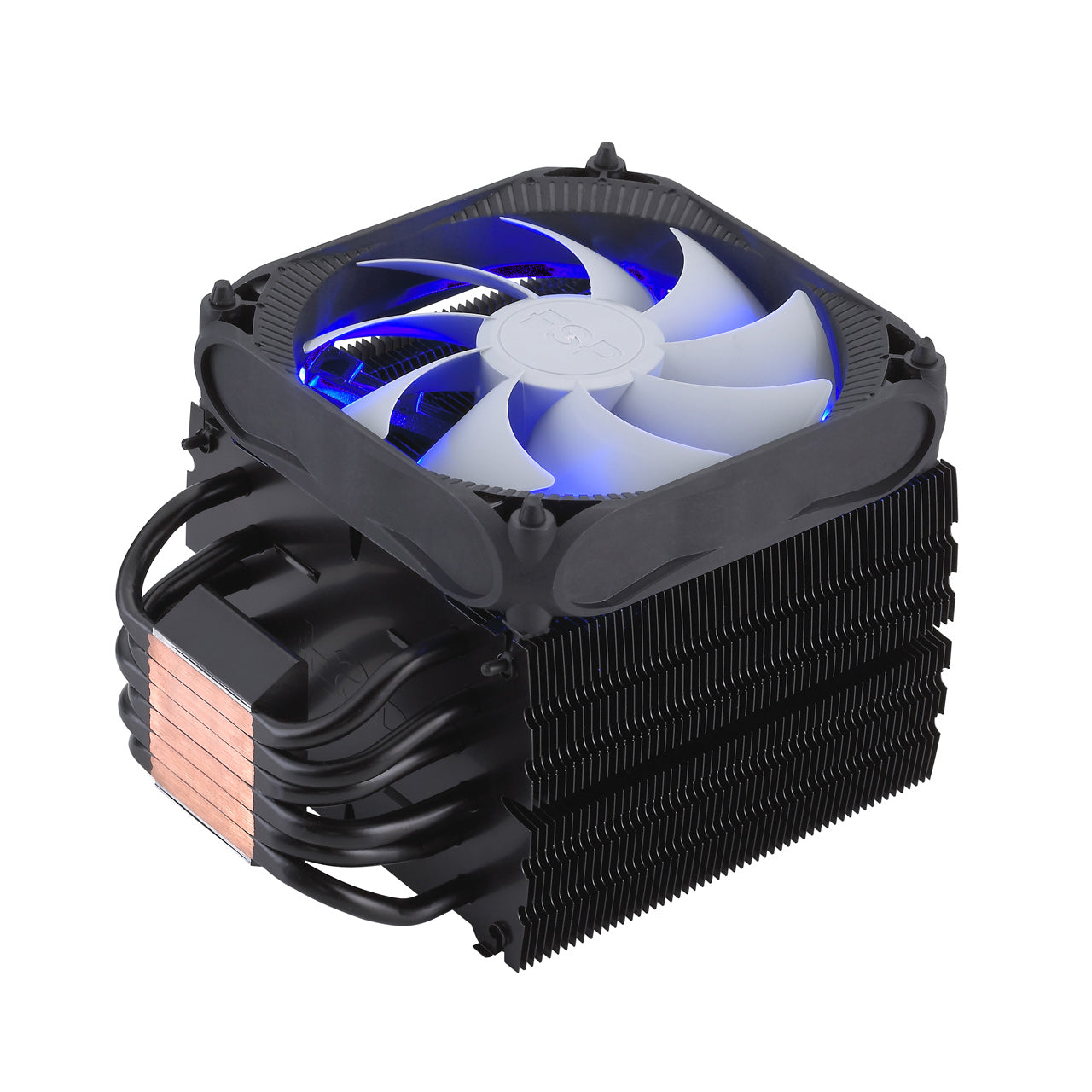 FSP windale 6 cooler