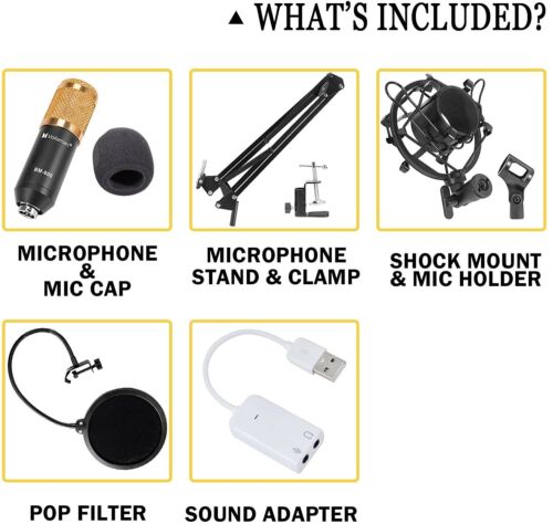 Legendary Live Broadcasting & Recording Microphone